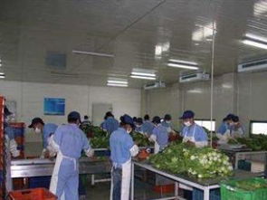 廣州蔬菜配送 打造工廠食堂承包與同城飲食服務新標桿