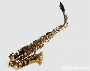 我們專(zhuān)為學(xué)校提供各類(lèi)中西優(yōu)貿(mào)的入門(mén)樂(lè)器 樂(lè)器配件及用品,并以直銷(xiāo)價(jià)發(fā)售,多年來(lái)深受全港多間學(xué)校歡迎并支持使用,信心保證